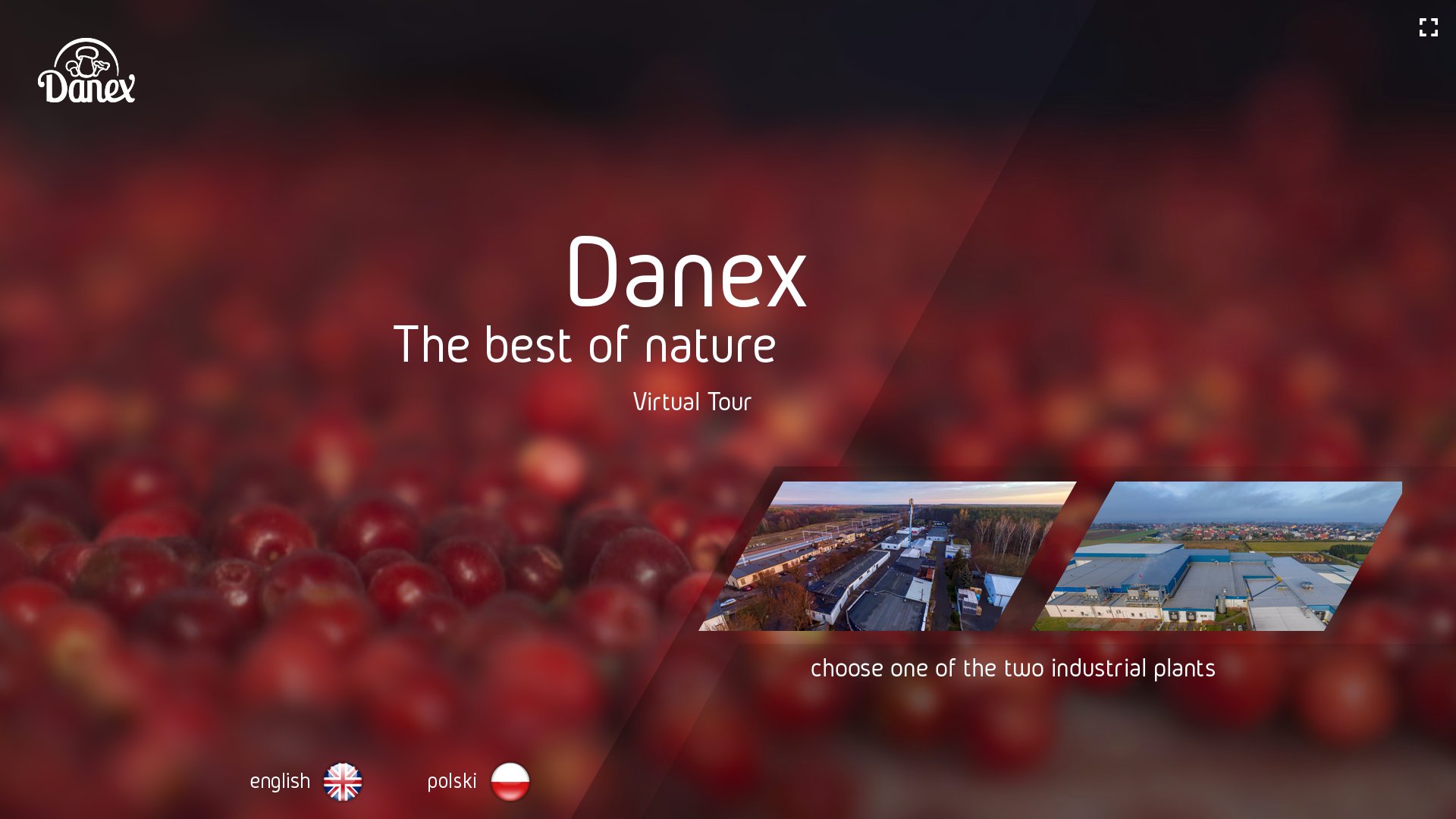 Danex - wirtualna wycieczka